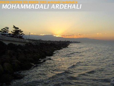 ARDEHALI ART 
