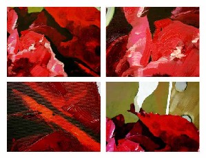 What comes out of Trapani