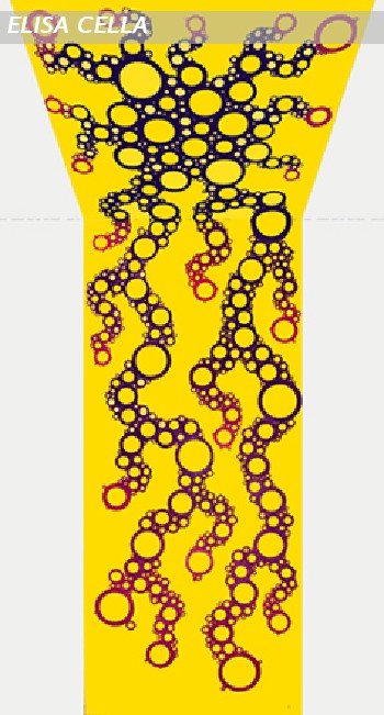 -Multicellular-