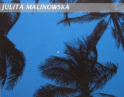 The Moon and palm-trees I