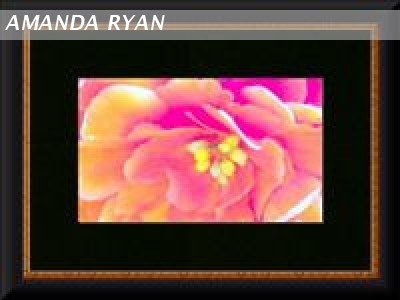 Peaches And Cream Flower