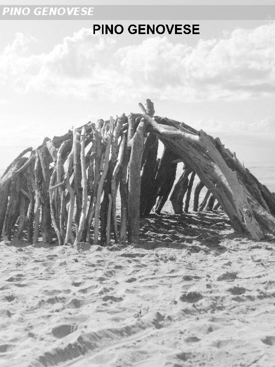 Pino Genovese